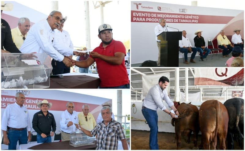 Destina Gobierno de Tamaulipas 19 millones de pesos para mejoramiento genético