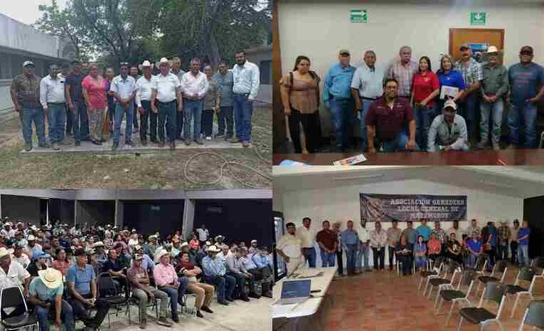 Refuerza Tamaulipas acciones de sanidad animal ante declaratoria de zona libre del gusano barrenador