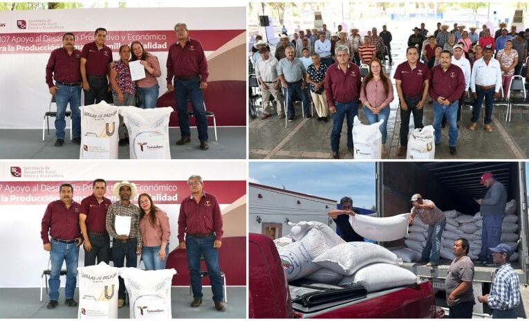 Fortalece Gobierno de Tamaulipas desarrollo agrícola en el altiplano con entrega de semilla de avena