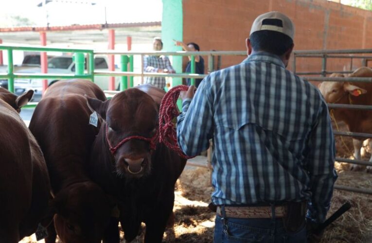 GOBIERNO MUNICIPAL IMPULSA EL DESARROLLO GANADERO CON ENTREGA DE BEBEDEROS A BAJO COSTO