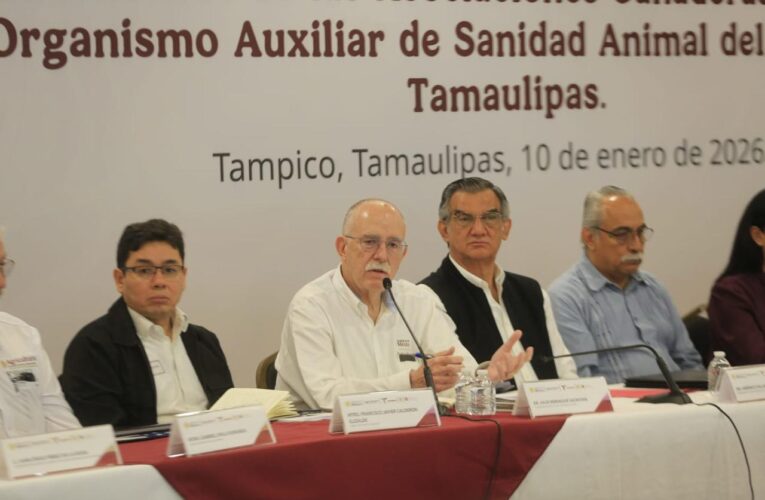 Tamaulipas refuerza acciones contra el gusano barrenador; no se cerrará comercialización del ganado: Berdegué Sacristán